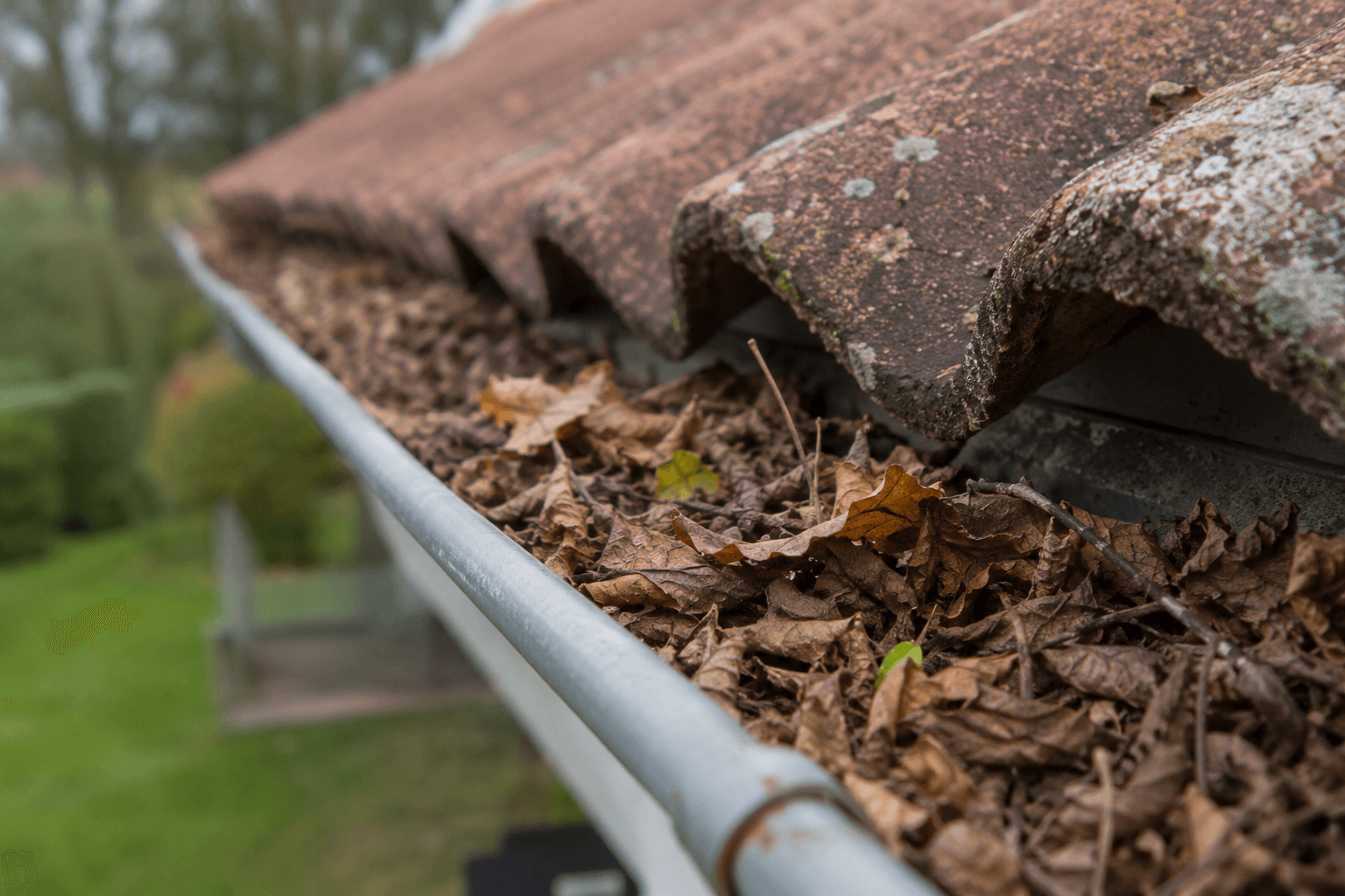 Feuilles et déchets végétaux accumulés dans une gouttière