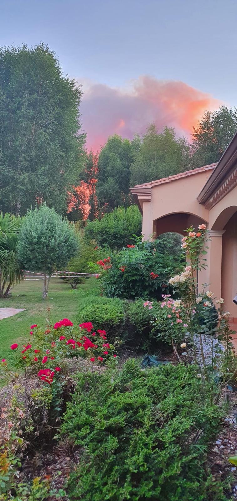 Vue depuis le jardin avec un ciel orange et de la fumée derrière les arbres.